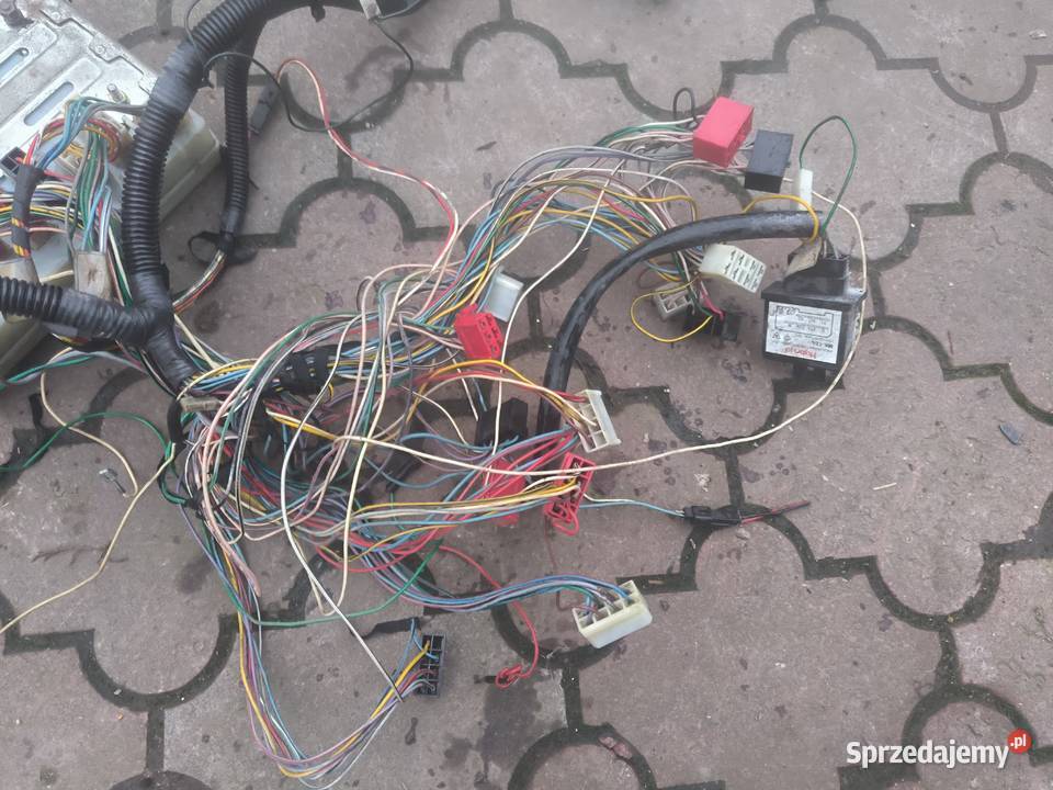 Lublin FS INTRALL Wiązka elektryczna dostawcze Stalowa Wola