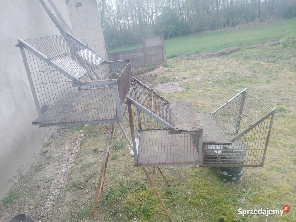 Sprzedam wloty do gołębi Tuszyn