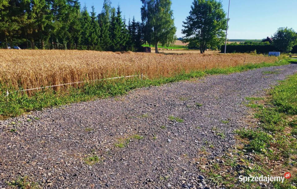 Ustawna działka budowlana 15ar Zemborzyce Dolne sprzedam