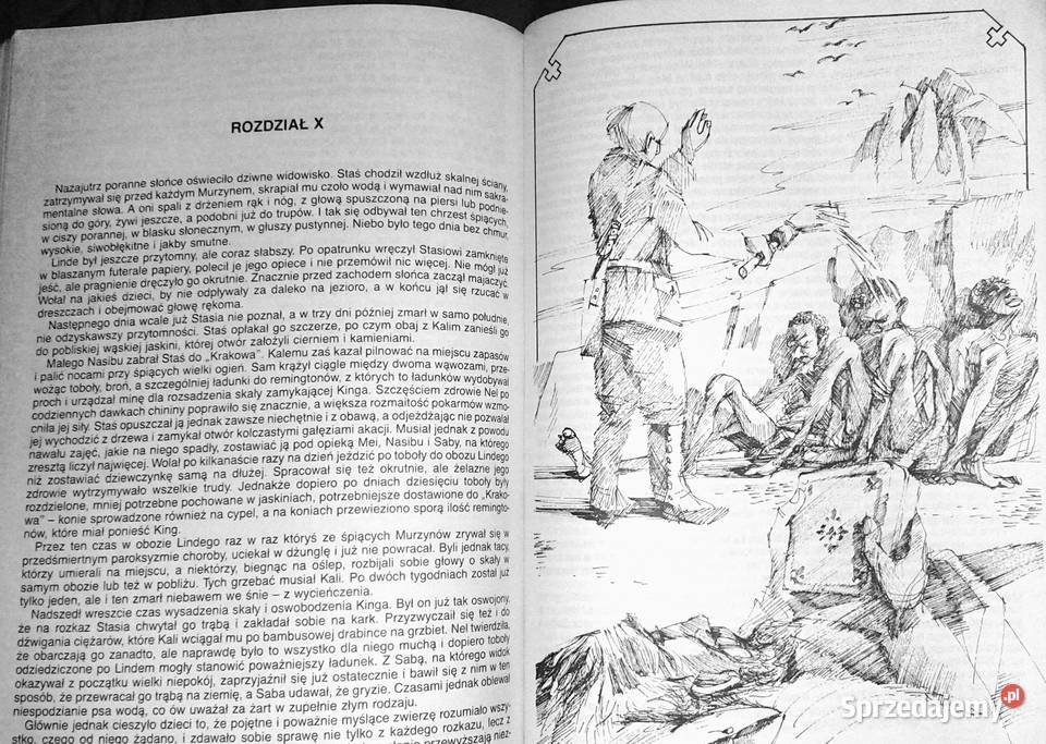 W pustyni i w puszczy Henryk Sienkiewicz