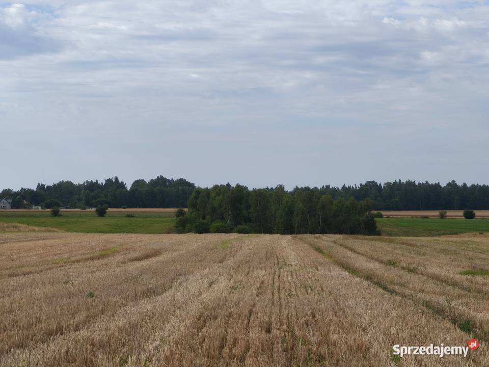 Ostatnie 3 działki Kaczkowo sprzedam