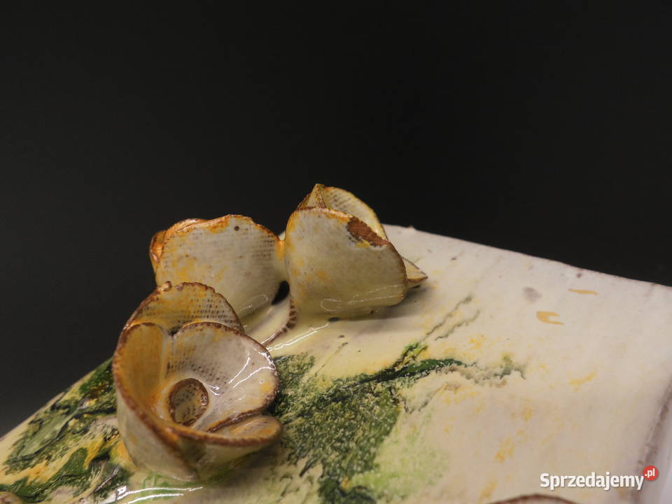 Oryginalny ceramiczny wazon trójwymiarowe motywy Porcelana i szkło Raszków sprzedam