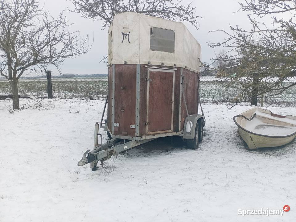 Przyczepa do przewozu koni koniowuz