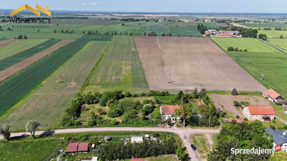 Działka budowlana 1618 m z budynkiem Drużno