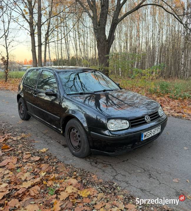 Volkswagen Golf IV 14 Benzyna lakier metallic Golf