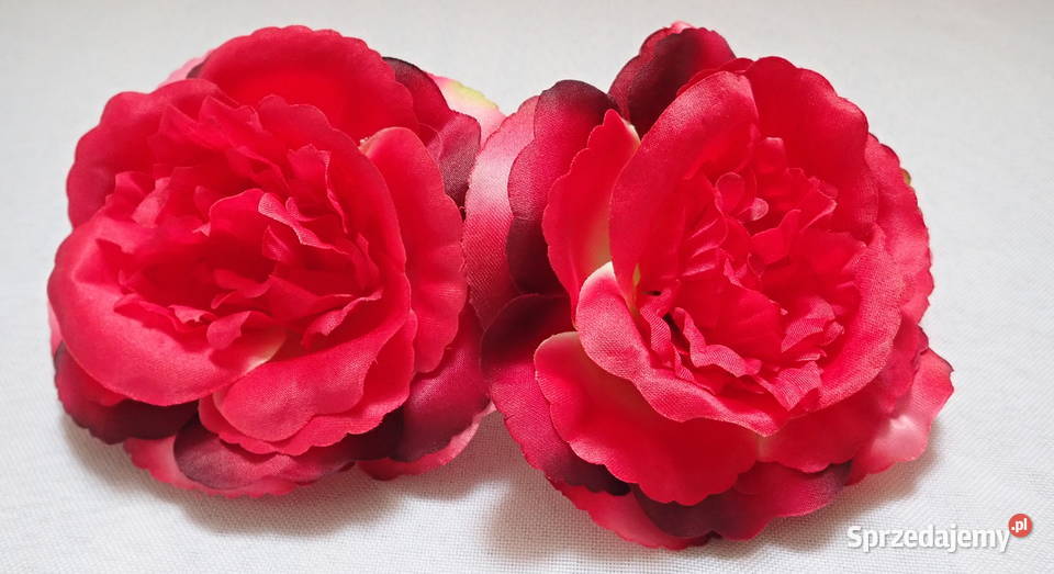 Róże rozwinięte chińskie okazałe 11 Kolory L049 Pozostałe Siewierz sprzedam