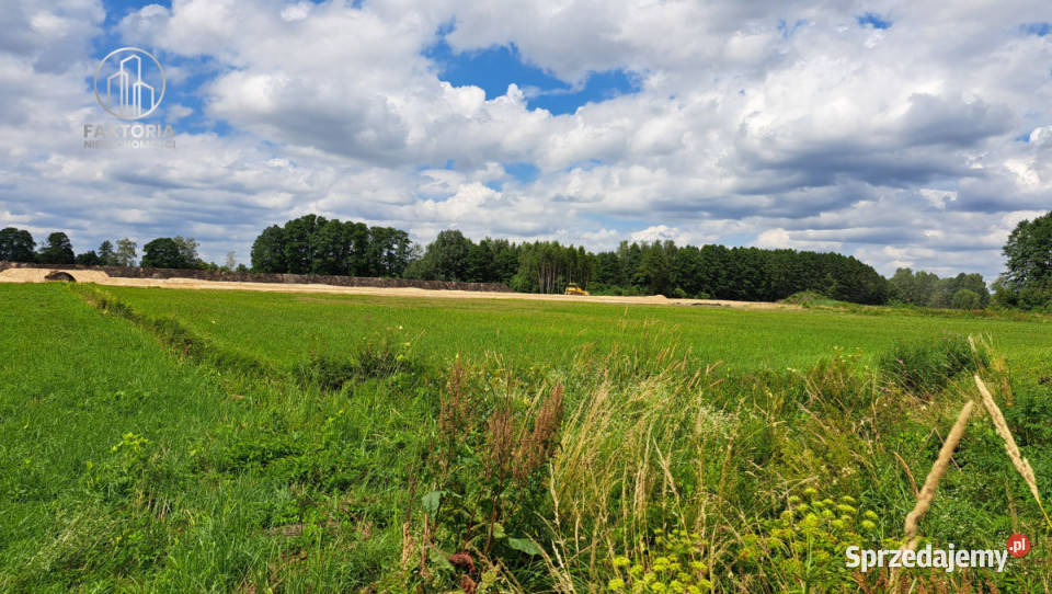 Grunt 2902m Dobrzyniewo Kościelne sprzedam