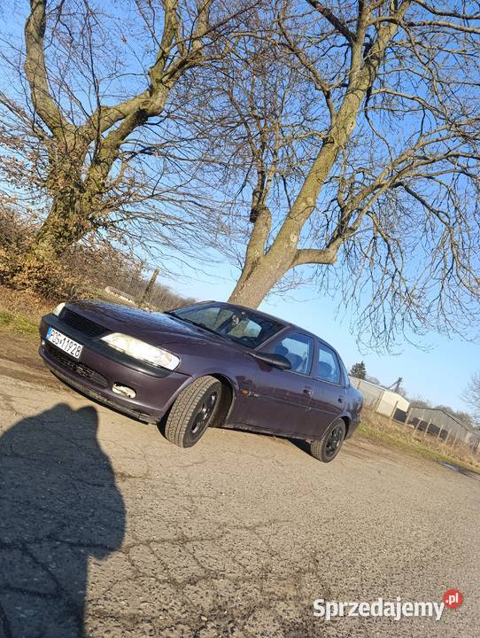 Opel Vectra b Vectra Czerniejewo