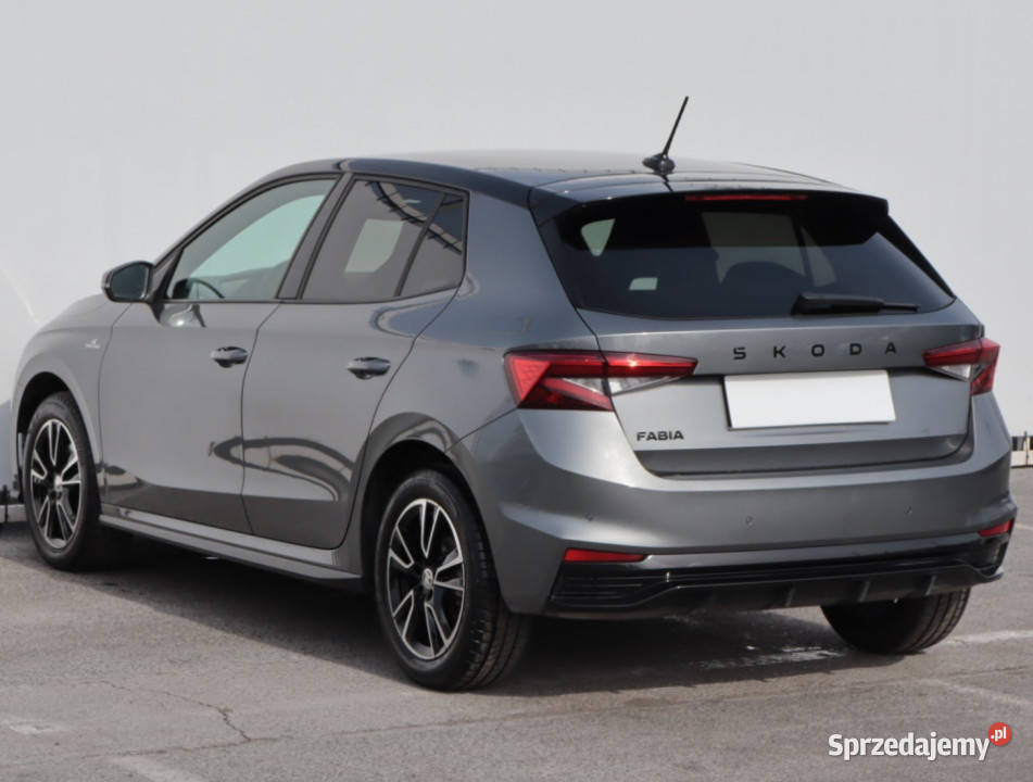 Skoda Fabia 10 TSI Lublin