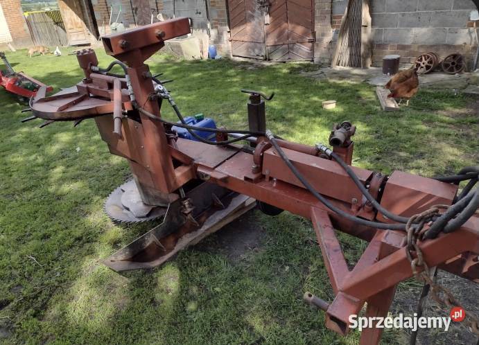 Ścinarka wyżynarka do krzewów aronii lubelskie