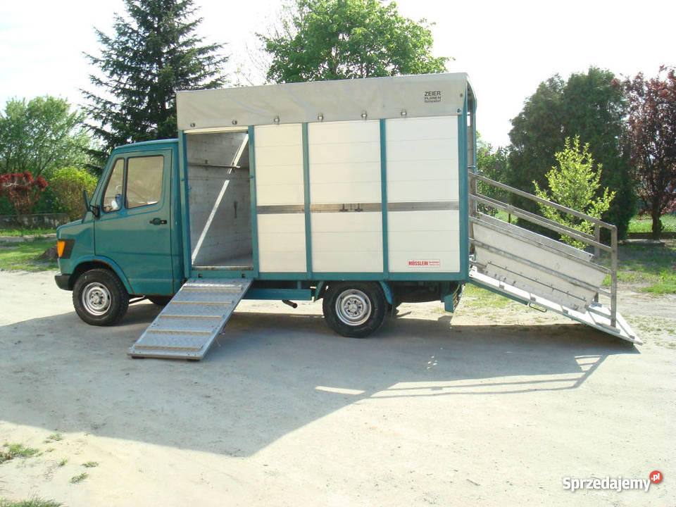 MERCEDES 308 DO PRZEWOZU ŻYWCA BYDLA ZWIERZĄT VI podkarpackie Kolbuszowa