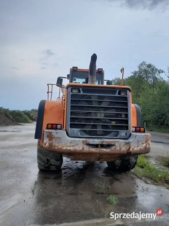 Doosan DL 500 Chojna