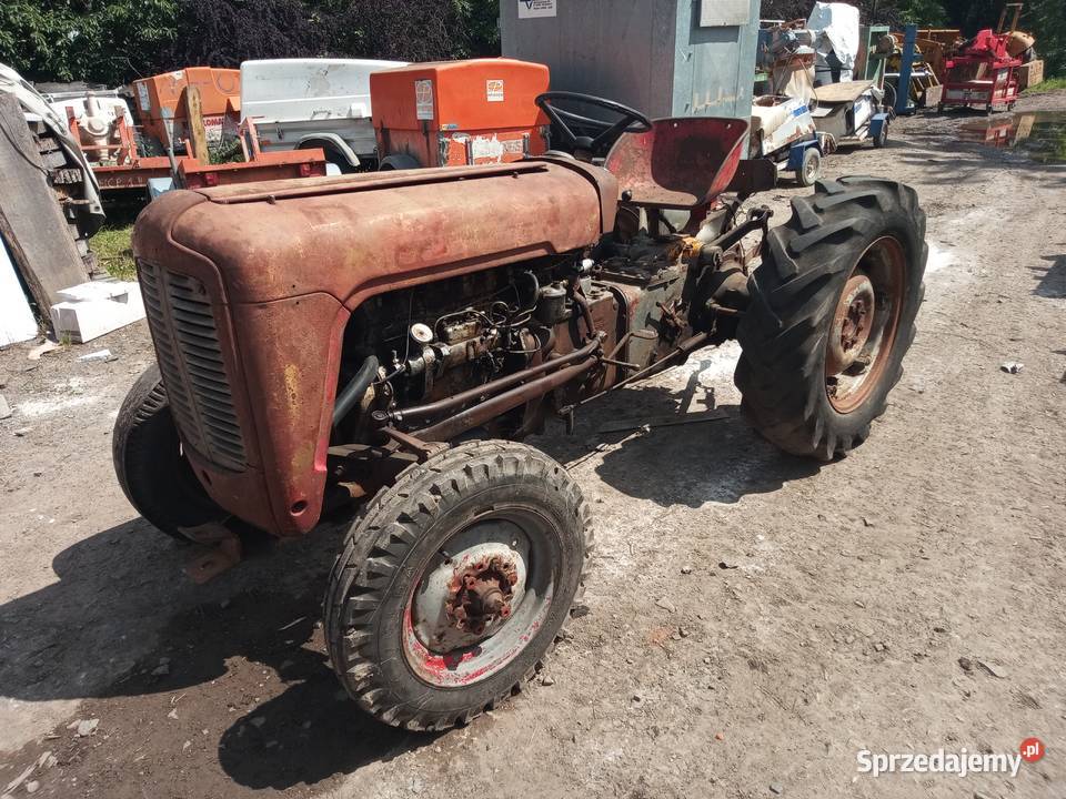 Ferguson TEF 35 diesel Pniewie