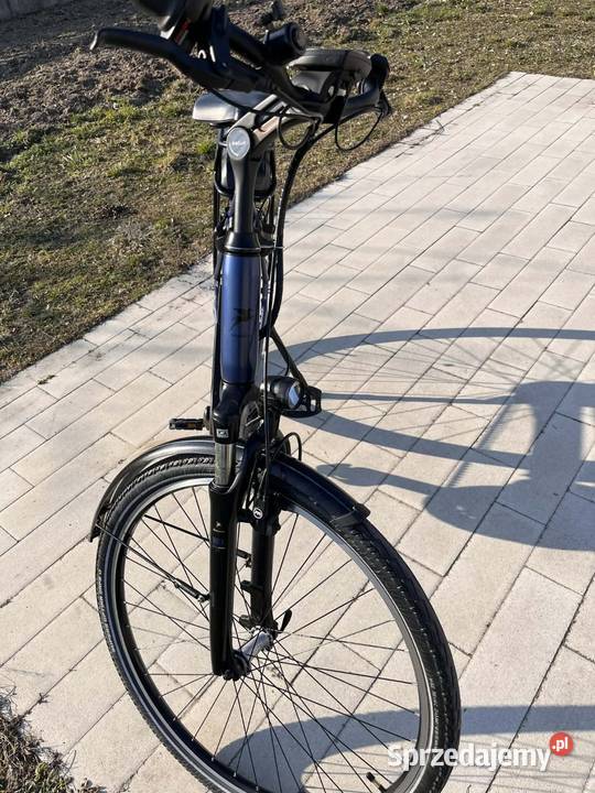 Pegasus Siena Błota sprzedam