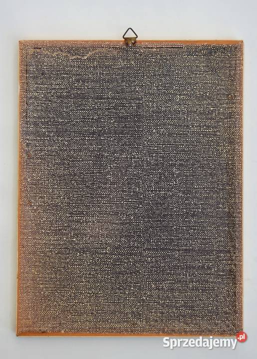 Papugi ptaki J Gould chromolitografia antyk Lublin