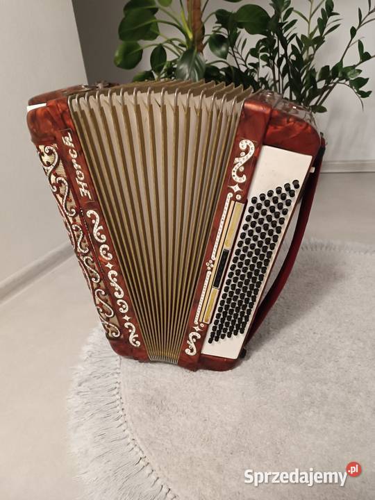 Akordeon horch 120 Dębica