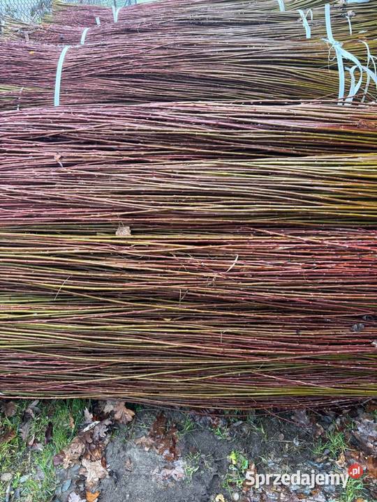 Wiklina sortowana 220 około 25 tony