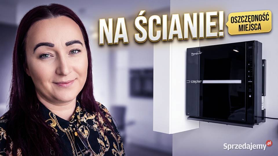 Oczyszczacz powietrza Therapy Air iOn Zepter małopolskie Kraków