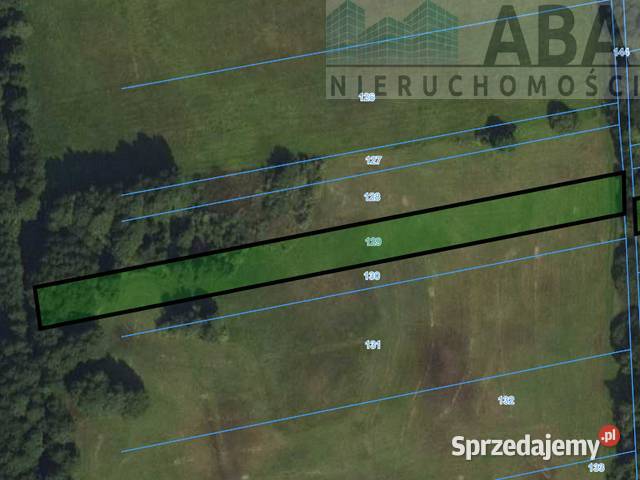 Działki rolne o powierzchni 124 ha Bądków Bądków Pierwszy