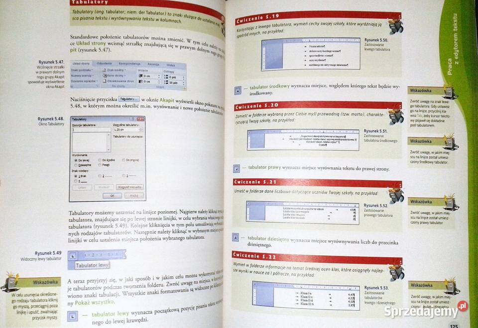 Informatyka Europejczyka Jolanta Pańczyk Rok wydania 2009 Chełm