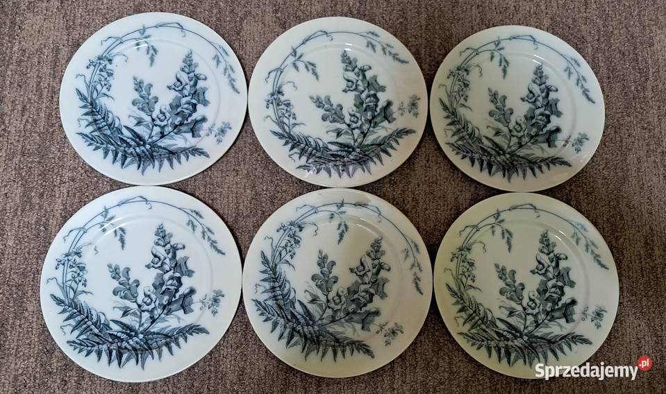 Antyk 6 talerzy Field Flowers BWMCO 18801886 Antyki Suwałki