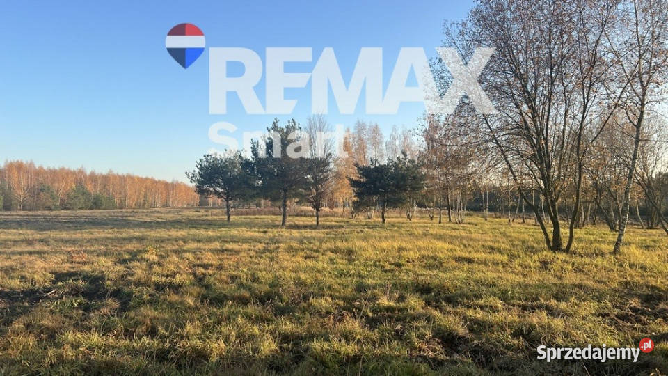 Działka budowlana 5920 Józefów gm Pniewy
