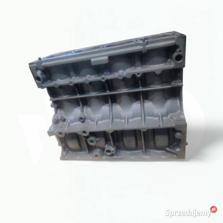 Blok silnika Deutz BF4L2011 04102460RY Pozostałe sprzedam
