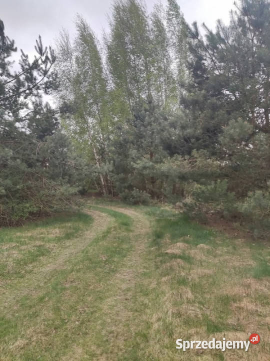Działka z dostępem do wody linią brzegową las Sprzedaż Podsmardzewo