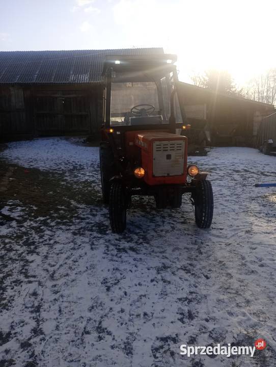 Władymirec t25 A2 Leda Szerzawy