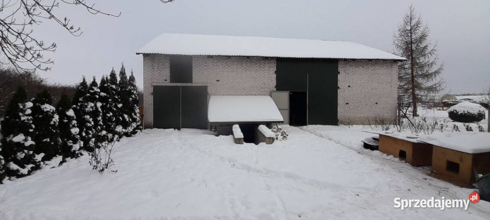 Zadbane gospodarstwo na przedmieściach Opola