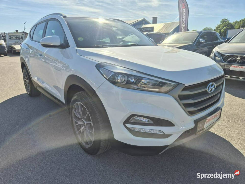 Hyundai Tucson III 17CRDI 115 Bezwypadkowy Ładny Zarejestrowany w Polsce Gniewkowo