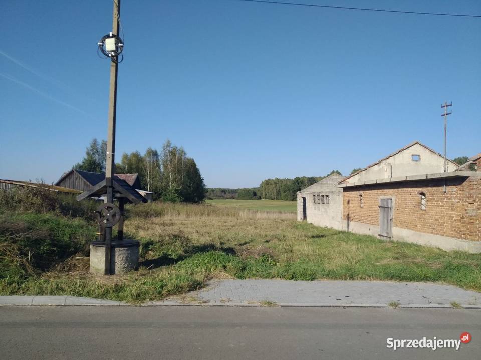 Działka siedlisko Romanów lubelskie