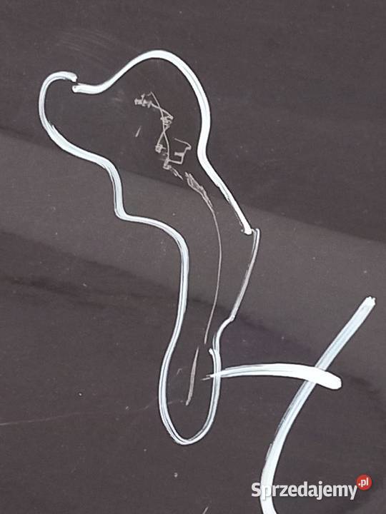 QASHQAI I J10 10r błotnik lewy przód 70 mikronów Kielce