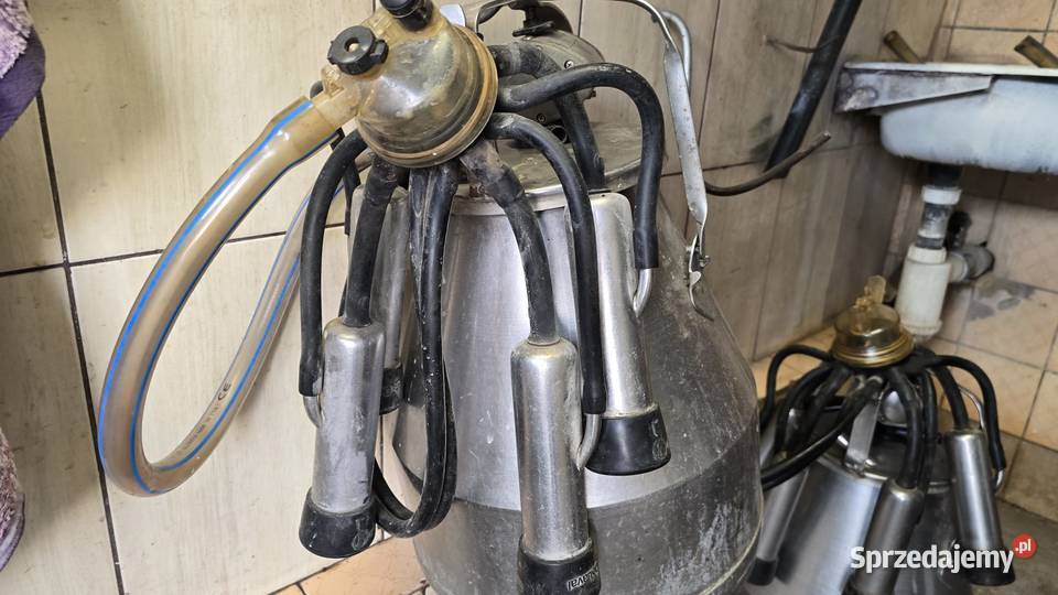 Dojarka konwiowa ALFALAVAL Polska produkcja dwie Pozostałe