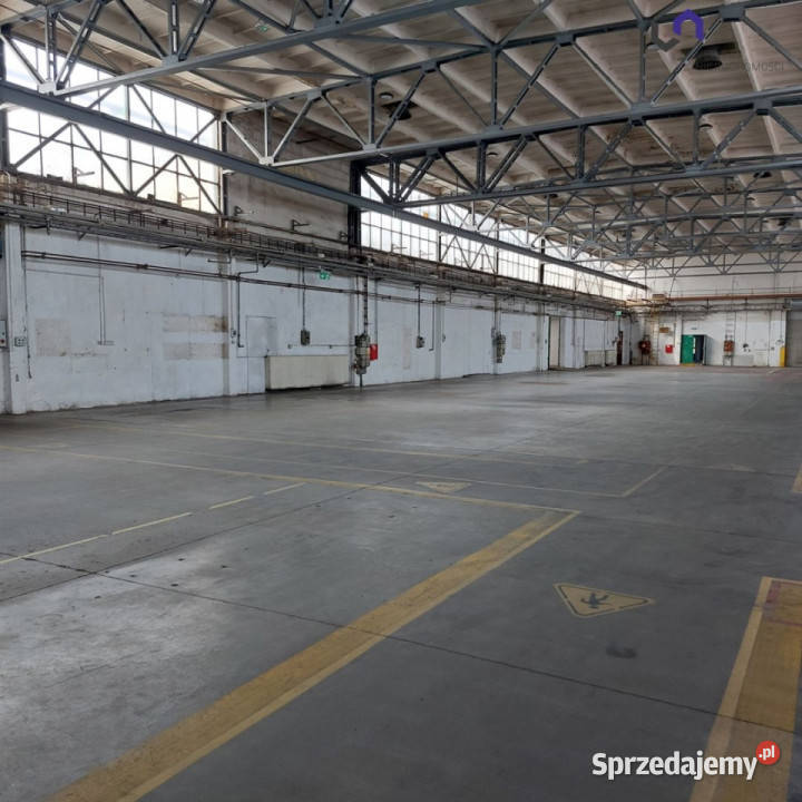 Lokal 1300m2 Katowice