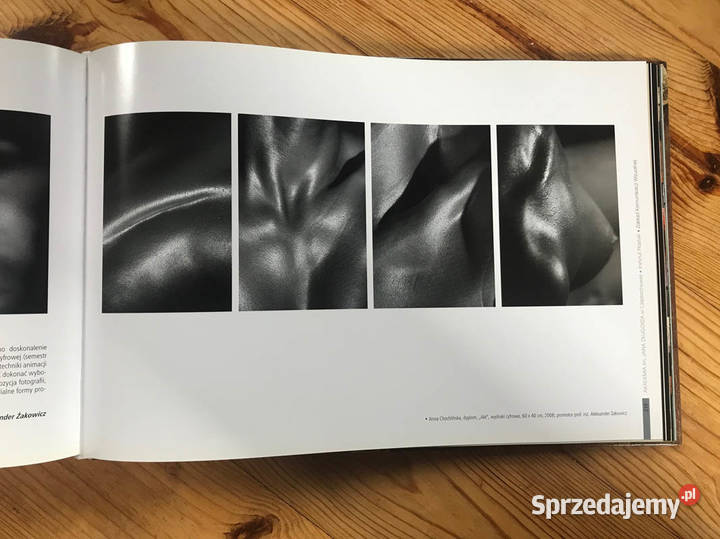 30 lat Instytutu Plastyki Akademii im Długosza Kielce sprzedam