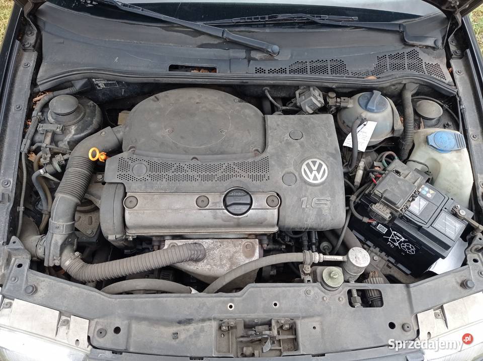 Volkswagen Polo 16 66 kW 1999 r dawca części Rok produkcji 1999 Szklarka Myślniewska
