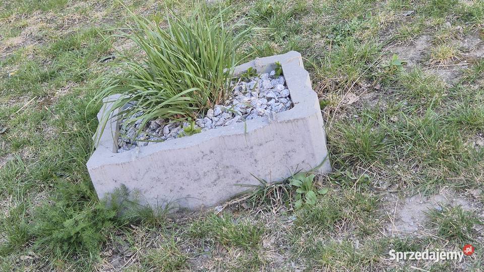 Gazon donica Pozostałe sprzedam