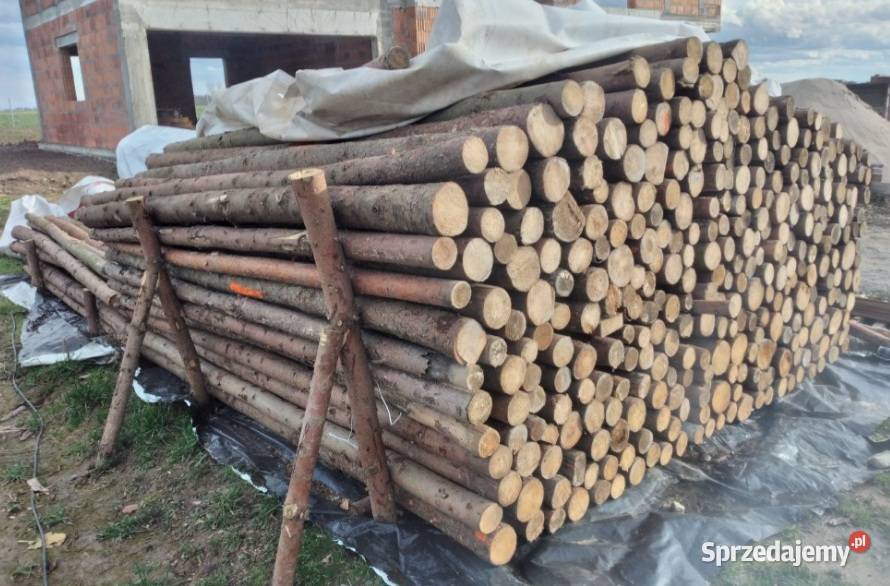 Stemple szalunkowe drewniane 461 sztuk 10 Grodków