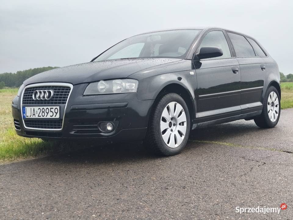 Audi A3 8P 20Tdi Dobryń-Kolonia