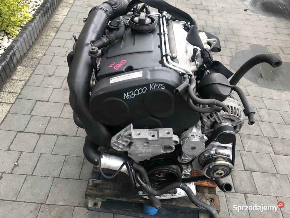 Silnik Kompletny 20 Tdi Bkd Audi Vw Seat Skoda 4 Dobra Nadzieja