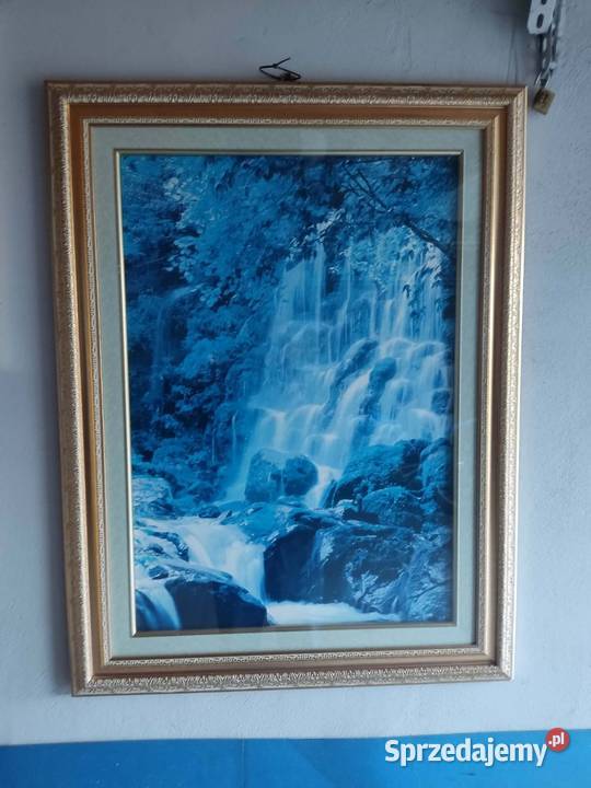 Obraz w złoconej ramie Obrazki i obrazy Kielce