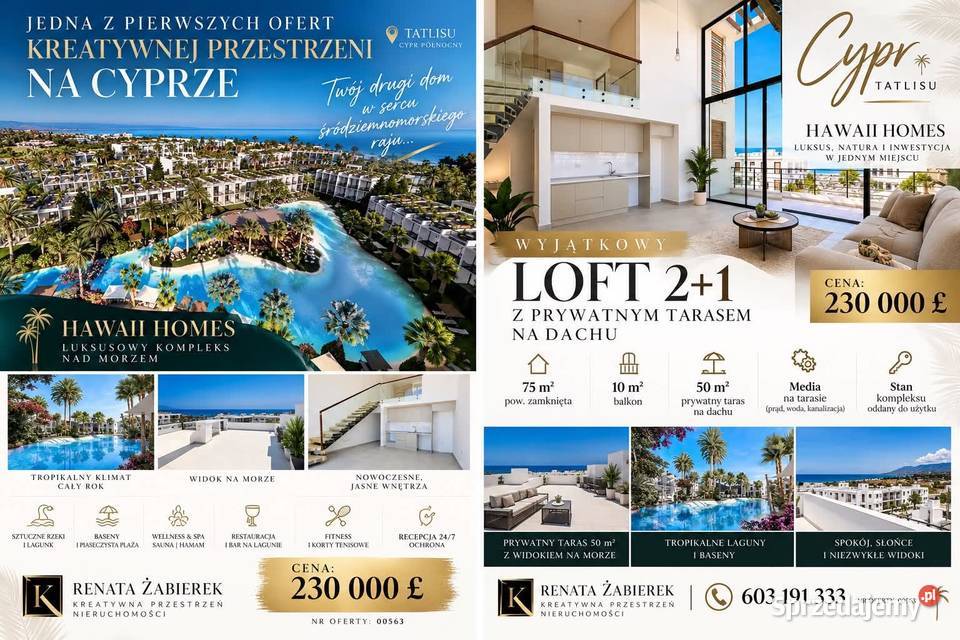 Mieszkanie 2 poziomowy loft na Cyprze 75m2 Babin