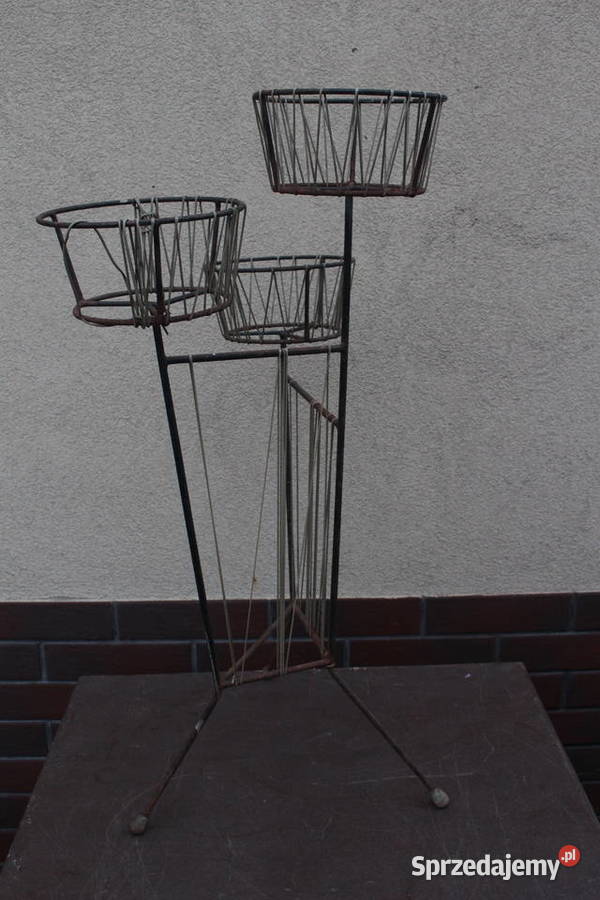 kwietnik żyłkowy prl Kalisz sprzedam