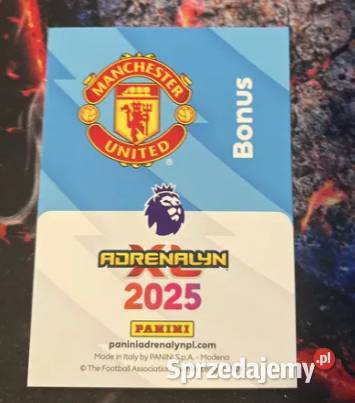 Panini karty piłkarzy Premier League 2025 Pozostałe Kraków