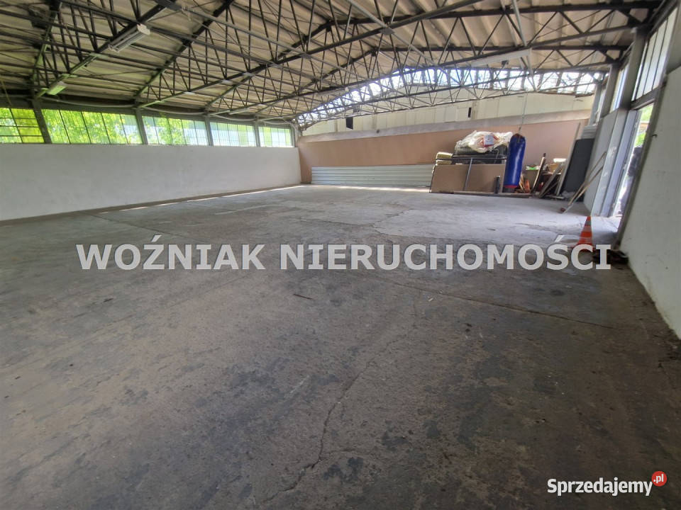 Lokal Wałbrzych 240m2