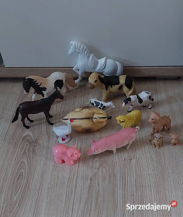 Domowe zwierzątka Kluczbork