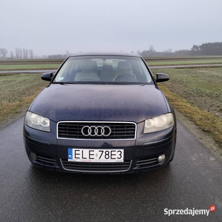Sprzedam Audi A3 8P Diesel 19 TDI BKC 105 2003 r 2/3 łódzkie Chodów
