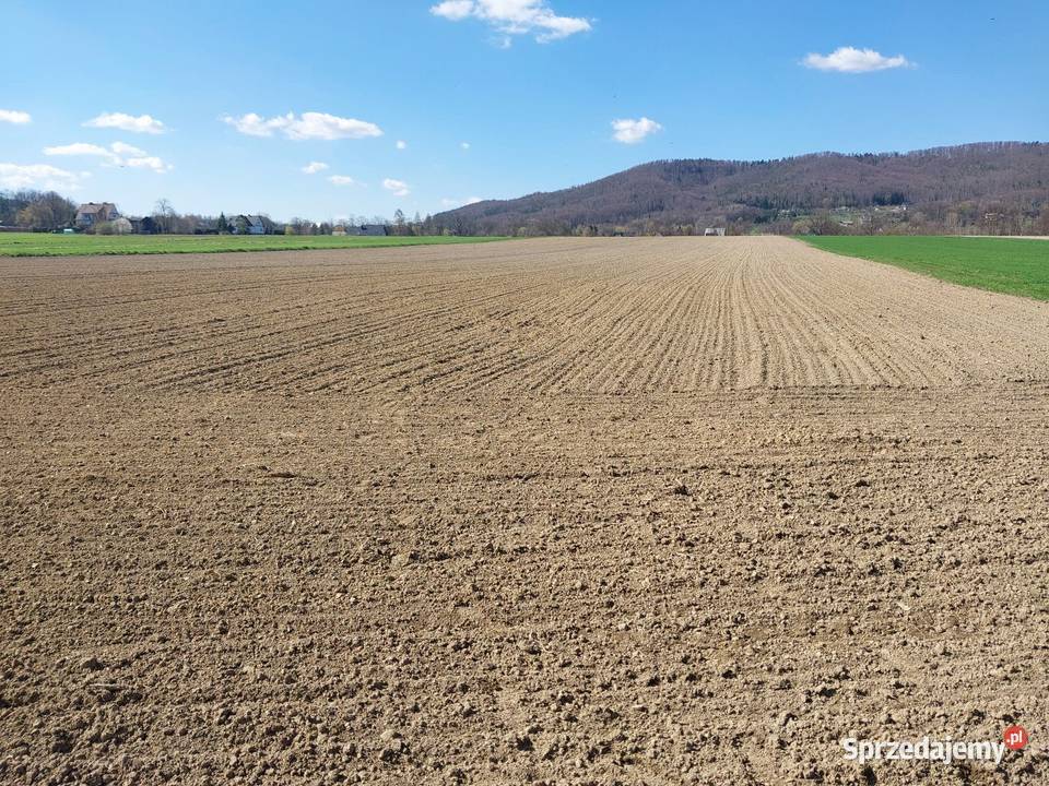 Sprzedam działke rolna 18 hektara Wiśniowa sprzedam