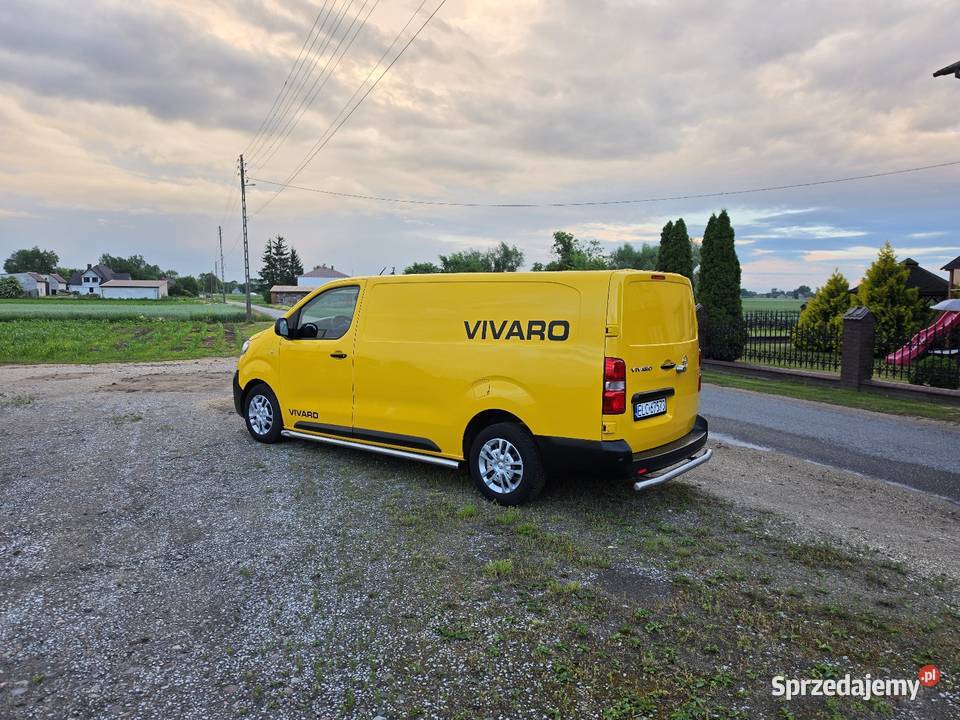 Opol Vivaro Long łódzkie Łowicz